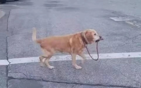 具有较强的自我管理意识