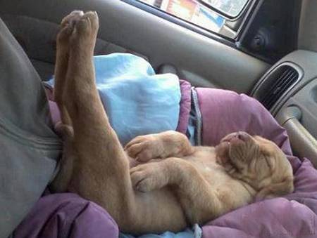 好销魂的睡觉姿势