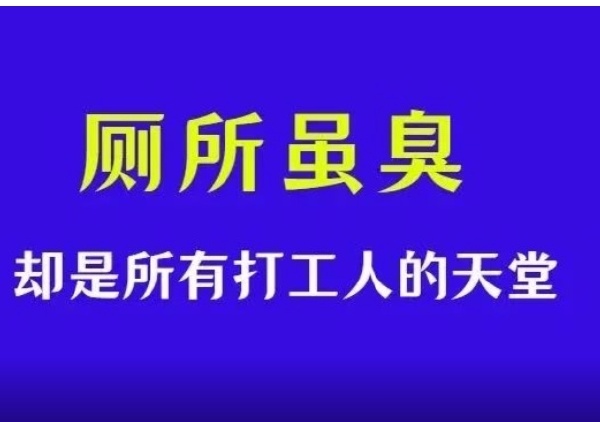 每天带薪拉是我的必备项目