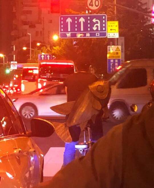 大楚兴，陈胜王！