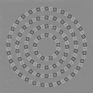 我拿命保证，这是四个同心正圆！