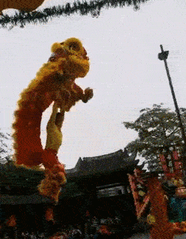 哎呀哎呀，掉下去了