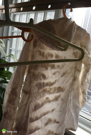 早上起来发现我妈帮我洗了羽绒服，感动。。。