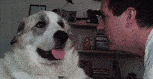 　看毛看，打你丫的