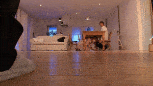 干嘛钻到桌子底下去呢