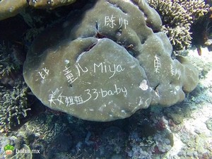 丢人现眼新境界～“到此一游”到海里。