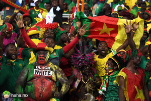多彩！非洲杯上的喀麦隆球迷