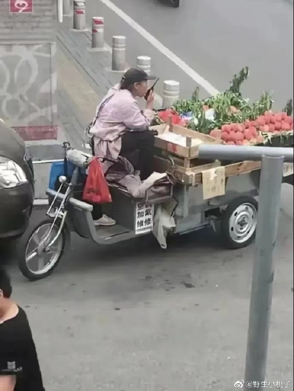 老鹰，老鹰，兔子已经出动了。