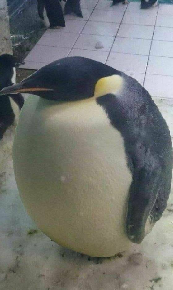 这TM是充了多少啊