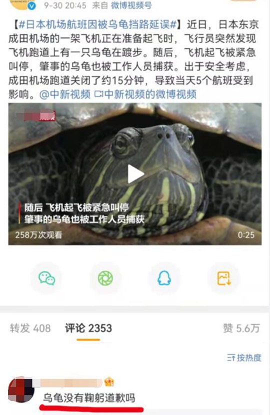 乌龟不会鞠躬只能切腹啊