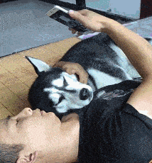 整天就知道玩手机你是不是不爱我了？