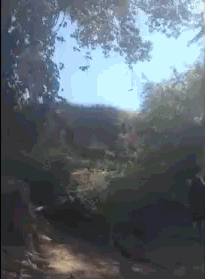 看来妹子摔得不轻啊