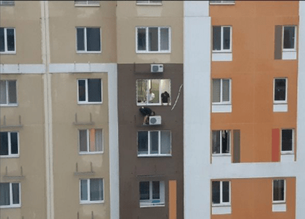 胆大心细哈哈哈