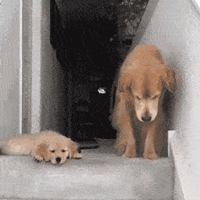 哎呀，好想长大呀