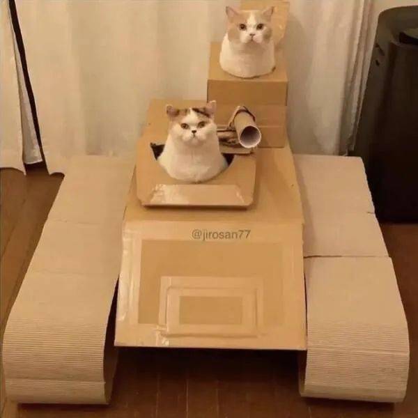 再不让路，我们就开炮了