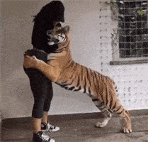 当时那个激动啊