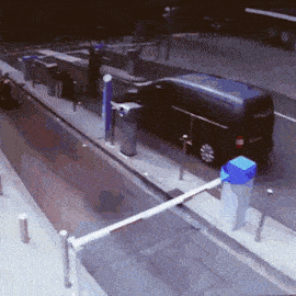 大姐，这个电车骑的厉害了！我想知道你的头有事没？