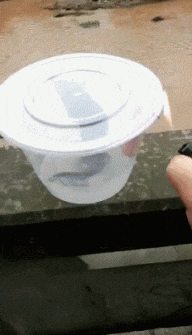 能召唤圣人的贴...