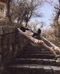 今日早间登山被拦，请哈友帮我解围！