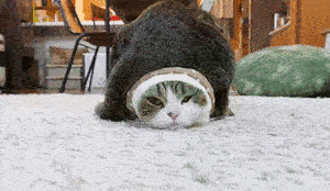 诶，老子被鬼压床了？