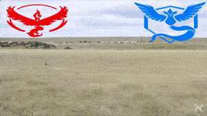 最后的那个 你今天的盒饭别领了