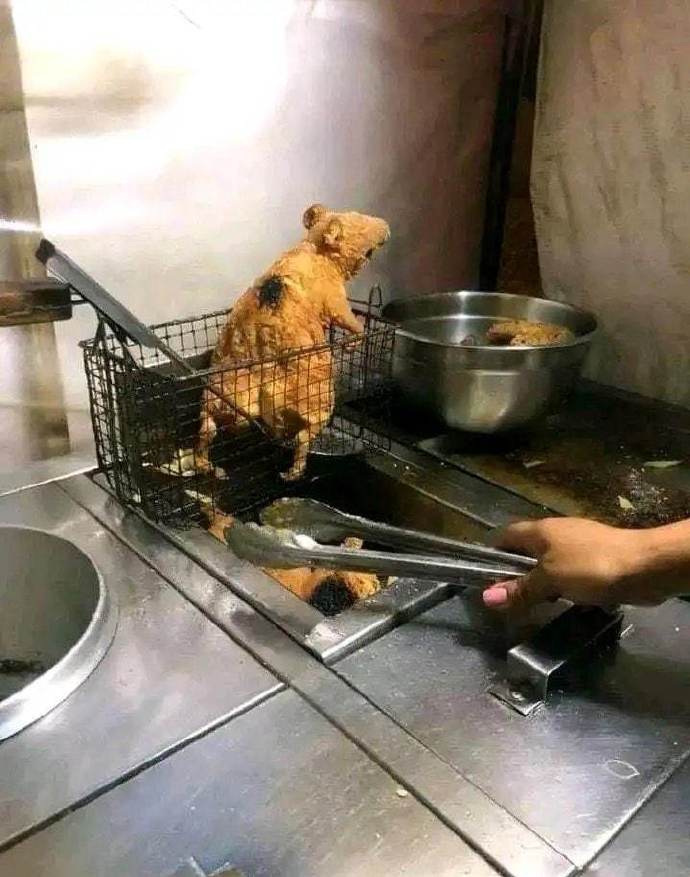 去三叶工作的餐馆打工被招聘为食材