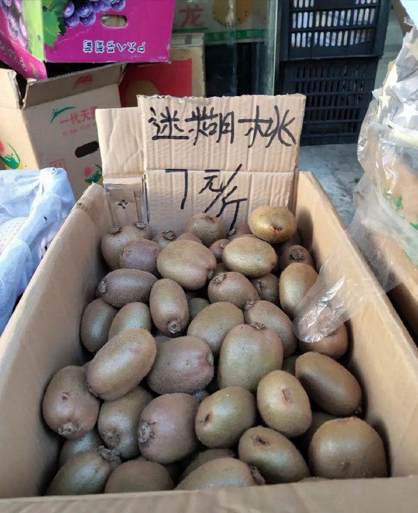 首先排除胡建人