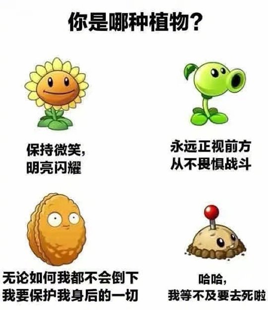 p4是我本人没错了