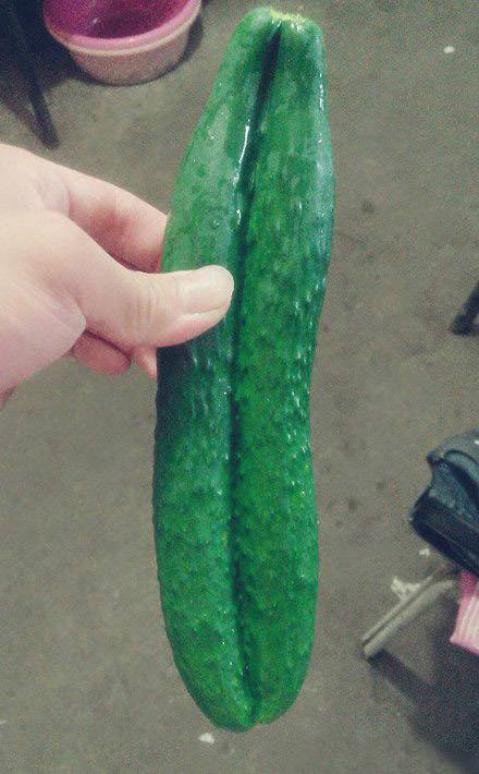 情侣黄瓜，永不分开