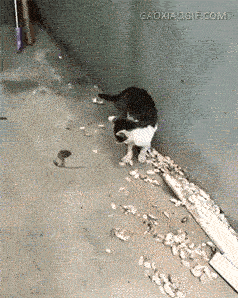 小时候打不过就撒泼的套路，简直一模一样！