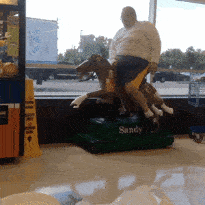 客人，你这样是要加钱的