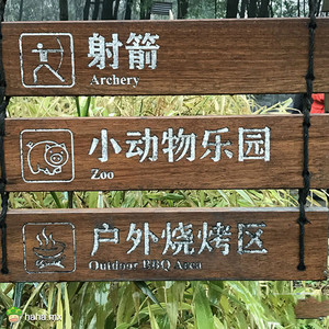 今天在景区看到的，感觉有一些奇妙的关联