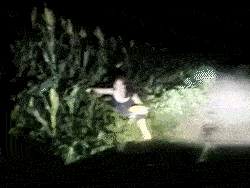 乡亲们！不好了，城里的娘们来咱们村儿偷棒子啦！