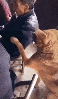 别打牌了，我还没吃饭呢