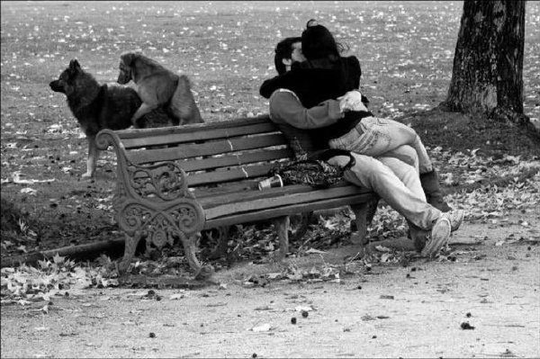 狗子自由多了，学学狗子