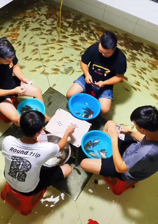 在水里面打牌脚气倒是消除了，鱼快要被快熏死了