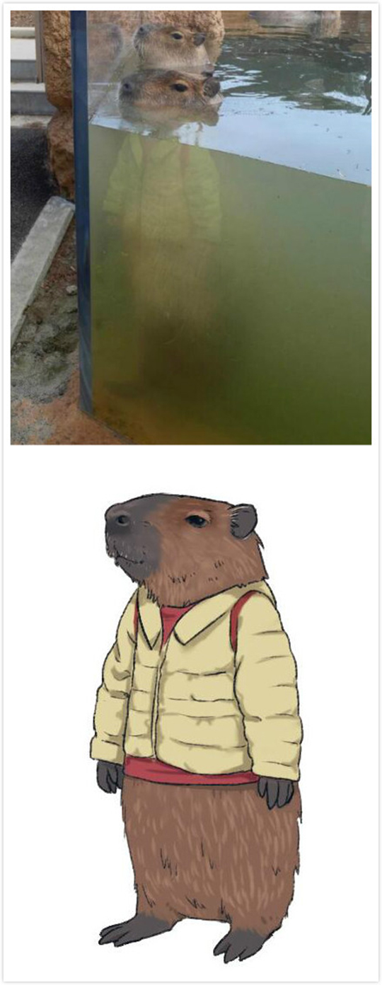 水豚：穿上这衣服我在水里就不冷